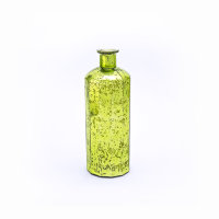 Vase-glass bottle 